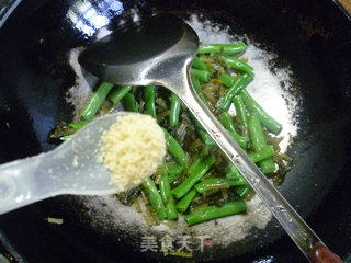 咸菜炒梅豆的做法步骤：4