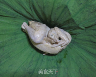 叫花鸡——现代家庭版的做法步骤：15