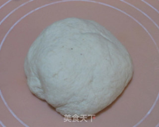 叫花鸡——现代家庭版的做法步骤：19