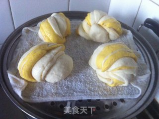双色花卷馒头----南瓜南瓜的做法步骤：18