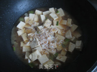 葱烧豆腐的做法步骤：5