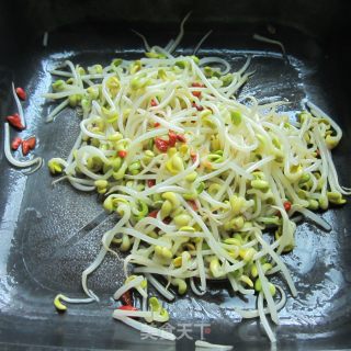 素炒豆芽菜的做法步骤：6