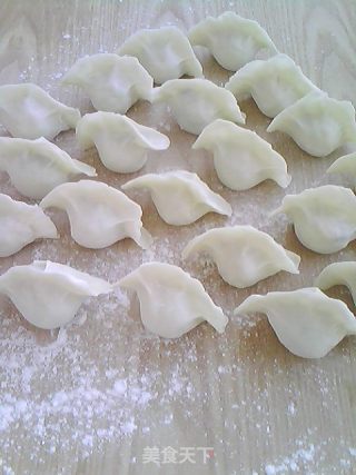 西葫芦鸡蛋水饺的做法步骤：7