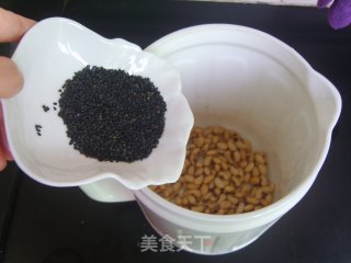 【营养豆浆】——黑芝麻核桃豆浆的做法步骤：3