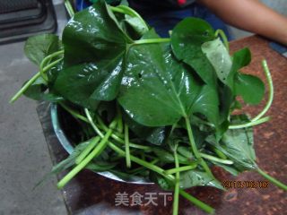 蒜香地瓜叶的做法步骤：1