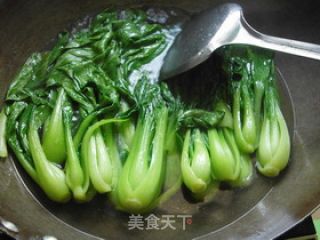 油淋青菜的做法步骤：6