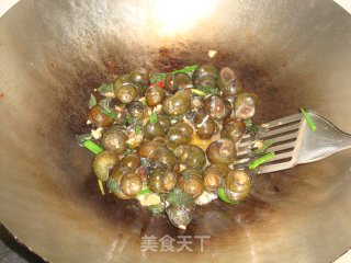 【酸笋田螺煲】----吃再多也不用担心需要减肥，哈哈的做法步骤：9