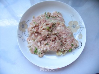 轻松自制有爱的营养早餐——鲜肉锅贴的做法步骤：3