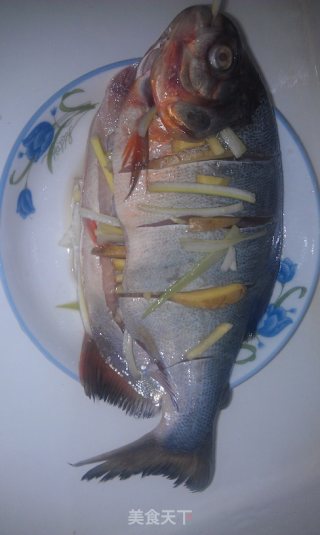 清蒸鳊鱼的做法步骤：2