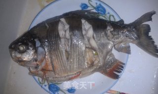 清蒸鳊鱼的做法步骤：3