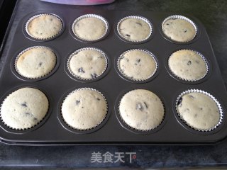 蓝莓纸杯蛋糕的做法步骤：16