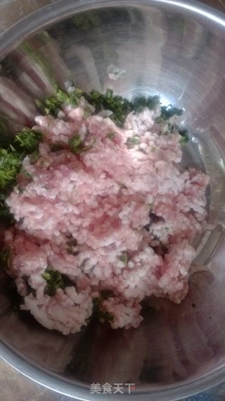野苋菜肉包子的做法步骤：5