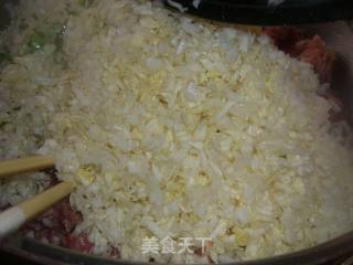 大白菜猪肉虾饺的做法步骤：11