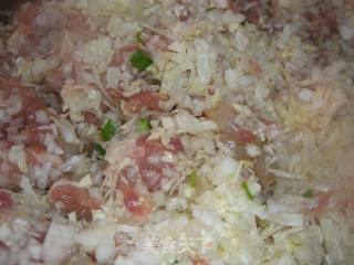 大白菜猪肉虾饺的做法步骤：12