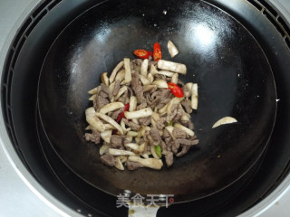 蚝油杏鲍菇肉丝的做法步骤：7