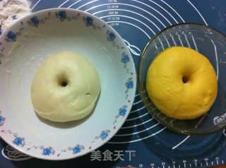 奶香南瓜双色馒头的做法步骤：3