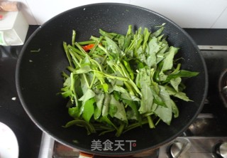 【蒜末空心菜】的做法步骤：6