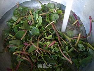 马齿笕煎饼的做法步骤：2