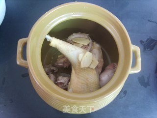 【营养靓汤】——茶树菇煲鸡的做法步骤：6