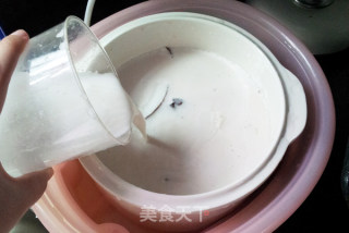 香浓椰肉椰汁炖乳鸽的做法步骤：4