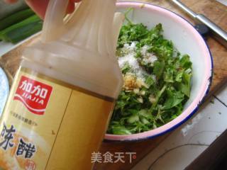 凉拌苦菊的做法步骤：6