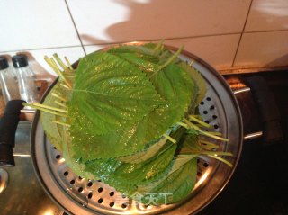 韩国小菜【香辣苏子叶】的做法步骤：2