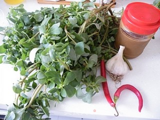 蒜泥麻汁马齿苋的做法步骤：1