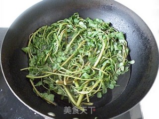蒜泥麻汁马齿苋的做法步骤：4