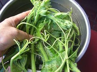 炝拌南瓜苗的做法步骤：1