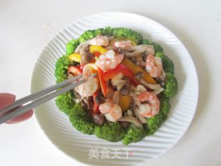 鲜菇虾仁西兰花的做法步骤：10