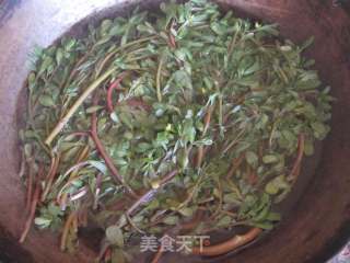 蒜拌马齿苋的做法步骤：2