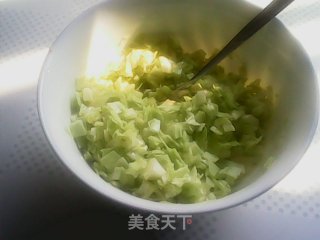 蔬菜肉馅包的做法步骤：3