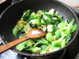 虾米油菜的做法步骤：7