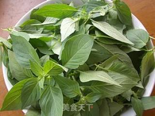 凉拌特色香草蔬菜---荆芥的做法步骤：2