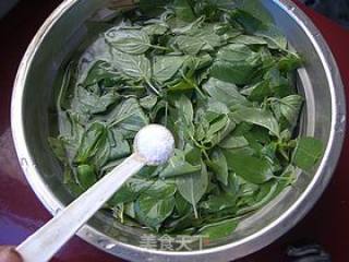 凉拌特色香草蔬菜---荆芥的做法步骤：3