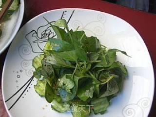 凉拌特色香草蔬菜---荆芥的做法步骤：6