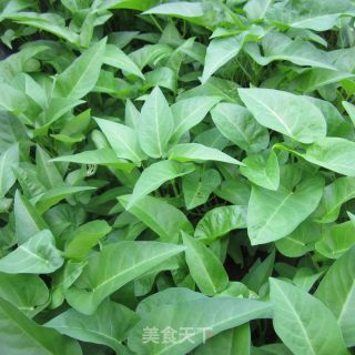 尖椒空心菜的做法步骤：1