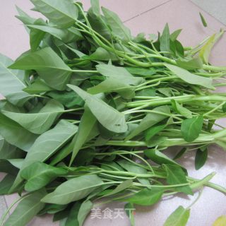 尖椒空心菜的做法步骤：2