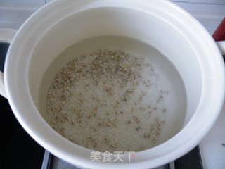 初秋养生粥-----马齿苋薏米粥的做法步骤：2