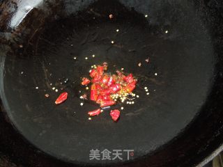 芥香马齿苋的做法步骤：5