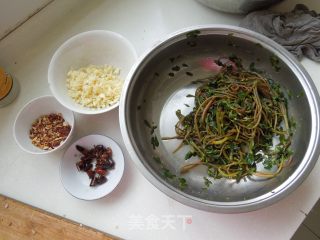 芥香马齿苋的做法步骤：9