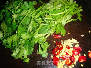 芫爆土豆丝的做法步骤：4
