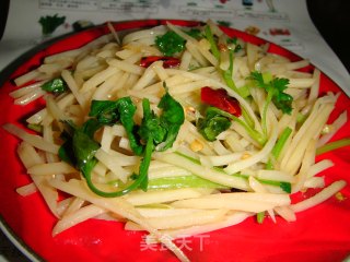 芫爆土豆丝的做法步骤：9