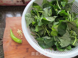 青椒炒红薯叶的做法步骤：1