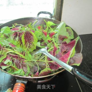 蒜米红苋菜的做法步骤：3