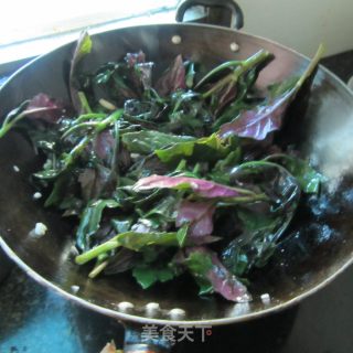 蒜米红番苋的做法步骤：5