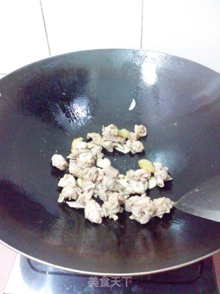 【家常荤菜】紫苏焖鸭的做法步骤：4