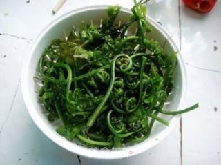 豆豉番茄炒水蕨的做法步骤：1