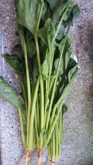 蒜粒蠔油燴鮑片伴菠菜的做法步骤：2