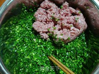 经典家常饺子-------【韭菜猪肉饺子】的做法步骤：4